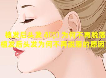 植发后头发 🦍 为何不再脱落(植发后头发为何不再脱落的原因)